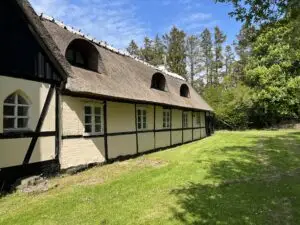Yogaretreat på Møn 2024