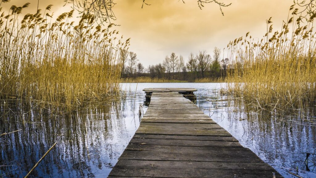 Silenceretreat vs. Yogaretreat - hvad er forskellen?