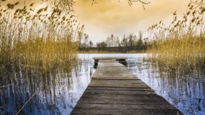 Silenceretreat vs. Yogaretreat - hvad er forskellen?