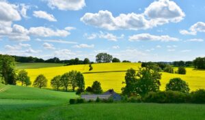 De bedste yogaretreats i Danmark?