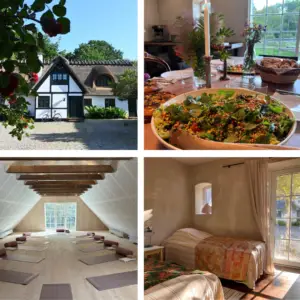 20.-22. november 2026: Yogaretreat i Tisvilde